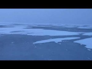 Рыбалка на Чудском озере#леснойскобарь#озеро#окунь##зима#рыбалка#рыбалказимо2024й#чудскоеозеро