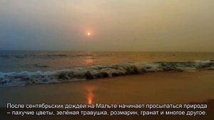 О погоде на Мальте: по месяцам и температура воды, сезон для отдыха, когда ехать