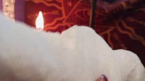 ВОТ ЧТО ГОВОРИТ О ЧИСТКАХ ВЛАД ЧЕРЕВАТЫЙ(полная версия на нашем канале)