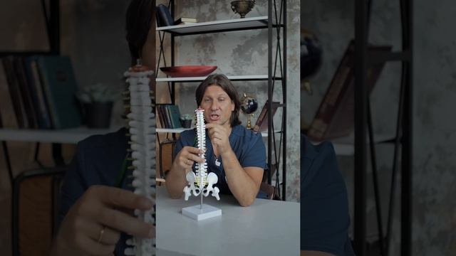 Почему появляется боль в спине под лопаткой? Причины боли под лопаткой