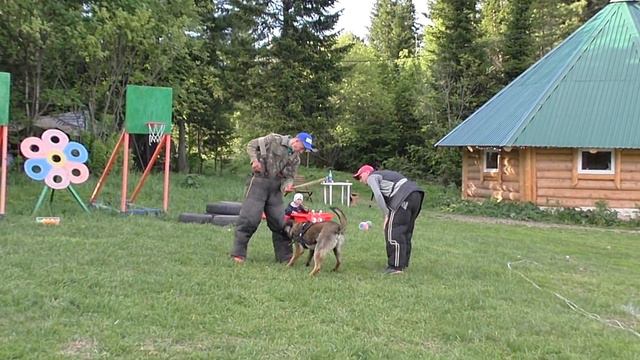 Семинар Мондьоринг Иван Довжик - Азар (http://workdog.ru)