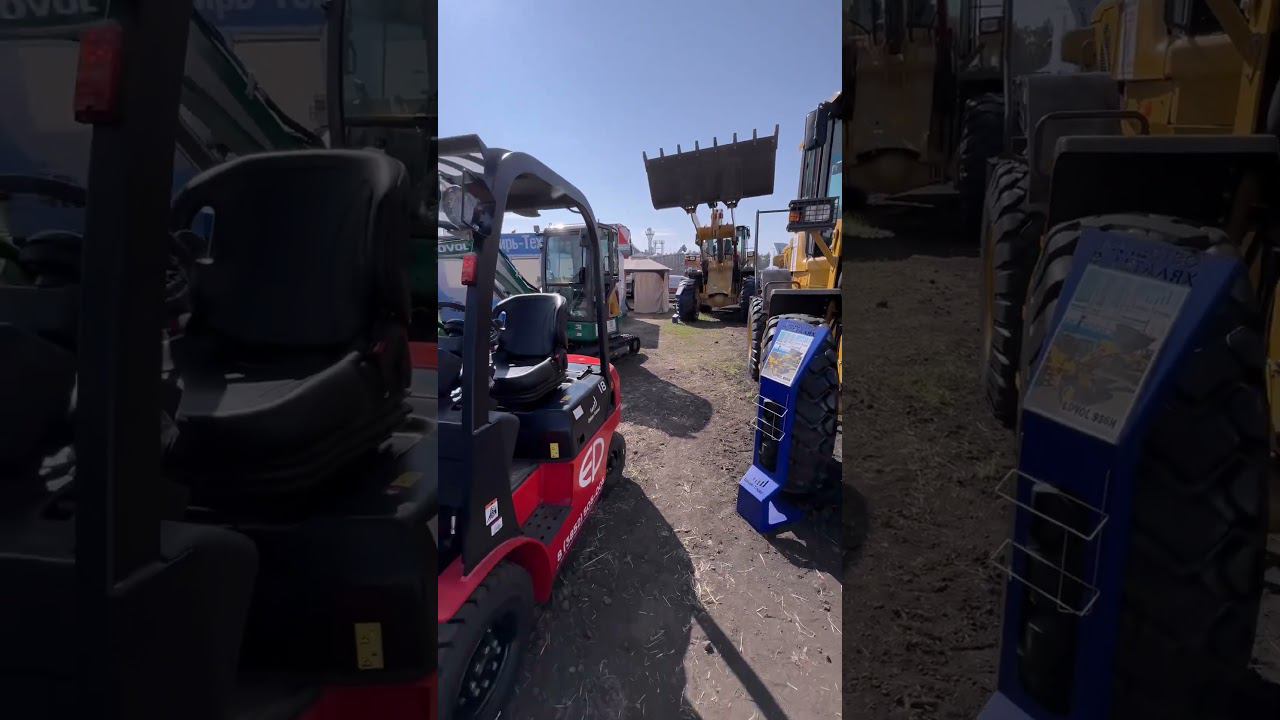 День Сибирского Поля 2024 смотреть онлайн