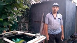 Борная кислота Как обрабатывать растения борной кислотой