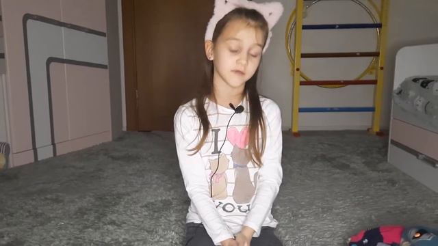 Зачем нужен адресник и другие аксессуары для собаки