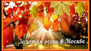 11 октября 2021 Золотая осень в Москве // Солнечное утро в Москве // Осенний листопад //