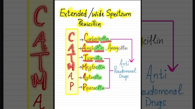 Antimicrobial Drugs_Penicillin (Extended / Wide Spectrum) -CAT-MAP #penicillin #medicaleducation