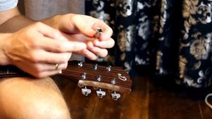 Как поменять колки на акустической гитаре. Колки Gotoh SG381