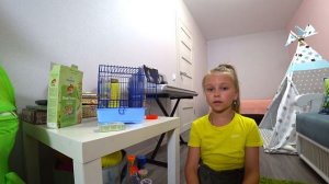 НОВЫЙ ПИТОМЕЦ! подарок от друзей. джунгарский хомяк