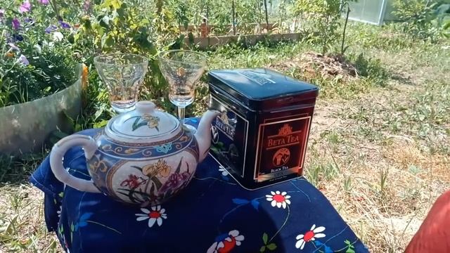 Заготовка Иван-чая. Копорский чай. Кипрей. Ферментация и сушка