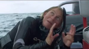 Рядом с касатками