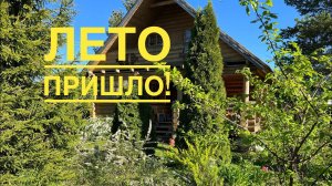 ЗООПАРК в свободном выгуле. Дачные хлопоты, ищу качель. Готовимся к дню рождения СЫНА.