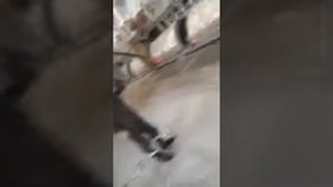 Мега ржака. Крановщик дебил. Это надо видеть