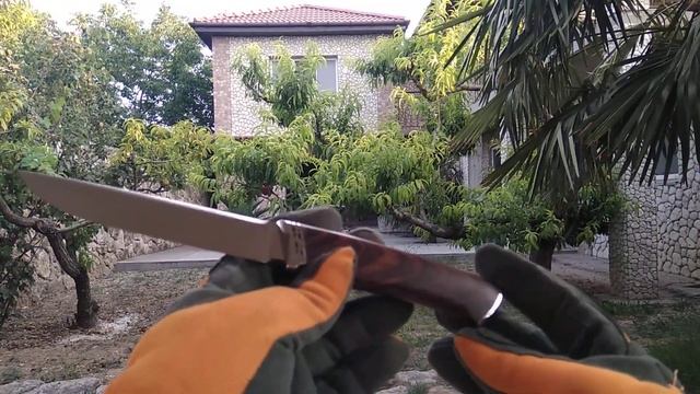 Ещё один"Братишка" - CPM S90V, Кокоболо