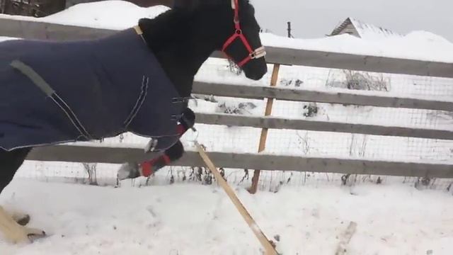 Гром прыгает борьер смотреть онлайн