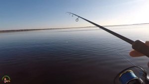 ТЕЙЛСПИННЕР на окуня. Тест. tailspinner fishing 2022