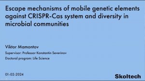 PhD Thesis Defense. Viktor Mamontov