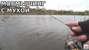 НИМФИНГ на пруду. Плотва.