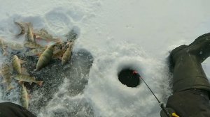 Рыбалка в Братске