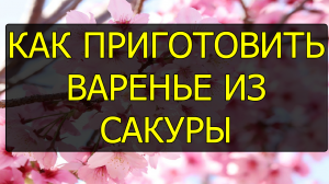 Как приготовить варенье из сакуры. Рецепт варенья из сакуры