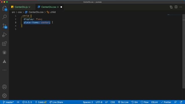 How to Center a TEXT Vertically and Horizontally using CSS FLEXBOX and CSS GRID