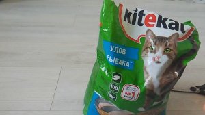 Распаковка - обзор на корм для кошек Kitekat.mp4