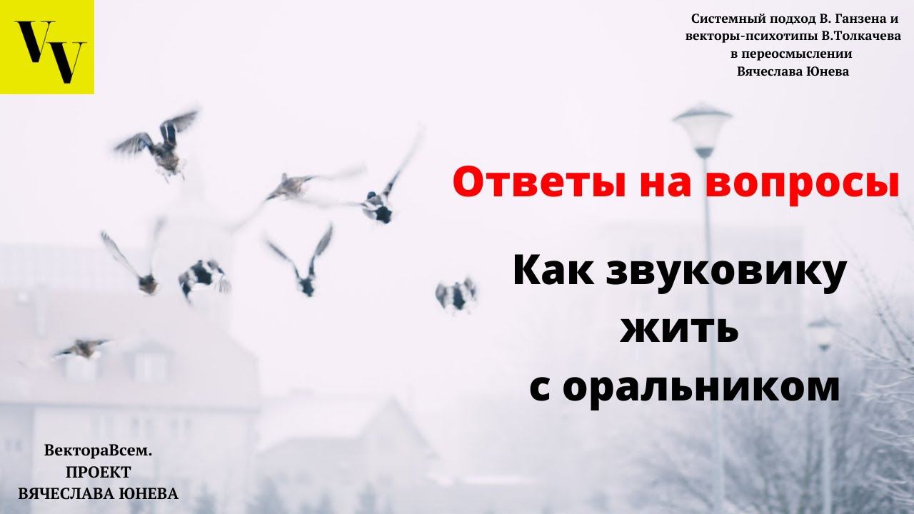 Как звуковику жить с оральником. ВектораВсем. Проект Вячеслава Юнева