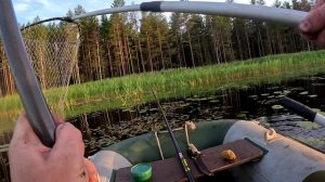 МЕЧТА ПОПЛАВОЧНИКА!!! Линь и лещ на удочку.