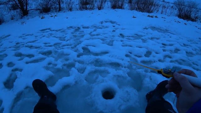 ОГО! Жерлицы срабатывают сразу по ДВЕ! Попали на ВЫХОД ЩУКИ + КРУПНАЯ ПЛОТВА и ЕЛЕЦ на БЕЗМОТЫЛКУ! смотреть онлайн