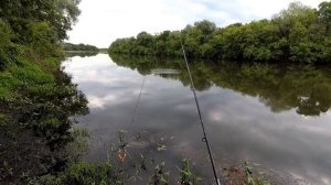 САЗАН НА САЛО .РЫБАЛКА НА РЕКЕ СУРЕ.