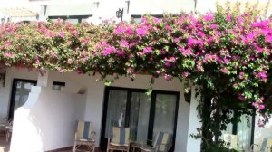 Египет. Хургада. Сафага. Отель Lotus Bay Beach Resort 4*