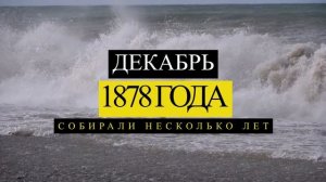 Все, что вы не знали о янтаре. Как отличить подделку янтаря.