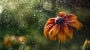 Egor Egorov - Лето - Юрий Шатунов cover