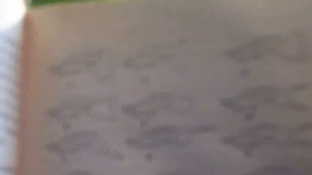 Гуппи самые неприхотливые аквариумные обитатели.