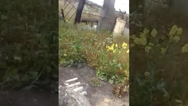 Запущена дача смотреть онлайн