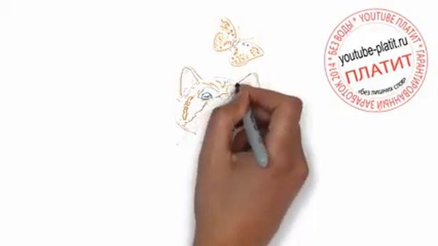Кошки нарисованные карандашом поэтапно Как легко нарисовать рыжую кошку за 27 секунд смотреть онлайн