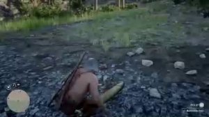 Catching fish in RDR2