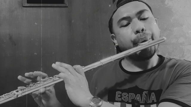 The Past - Ray Parker | Flute Cover | смотреть онлайн