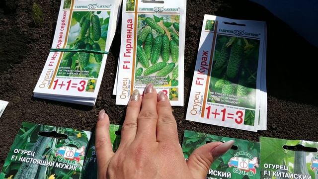 ПОСЕВ ОГУРЦА В ОТКРЫТЫЙ ГРУНТ НА ШПАЛЕРЕ. смотреть онлайн