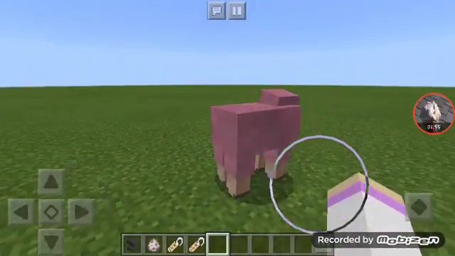 Как сделать так чтобы овца горела всеми цветами радуги 🤔🤔))))) смотреть онлайн