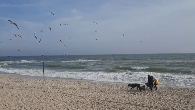 ОДЕССА?04.11.2023 ЭТОГО НЕ МОЖЕТ БЫТЬ! смотреть онлайн