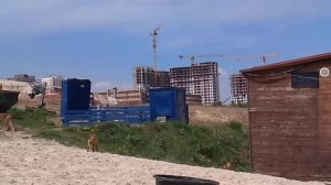 Открытие сезона рыжеволосым семейством(Карьер в Дзержинском МО!)