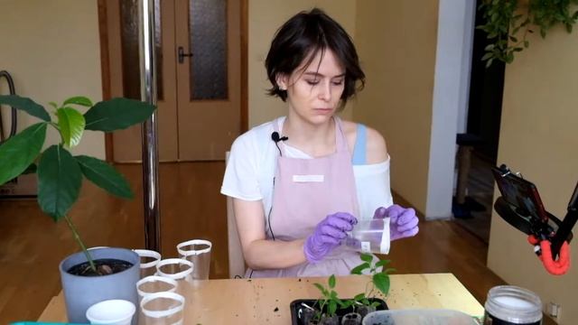 Тест удобрения ZION продолжается. Часть 1 - итоги первой фазы. смотреть онлайн