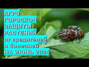Агрогороскоп защиты растений на июнь 2024 года Plant protection agrohoroscope for June 2024