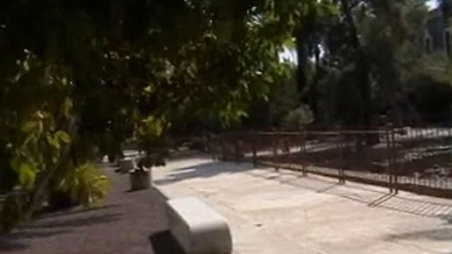 Capernaum, Kapernaum смотреть онлайн