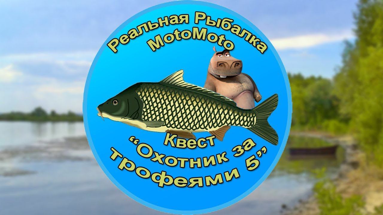 Квест 