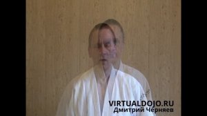 Virtualdojo.ru