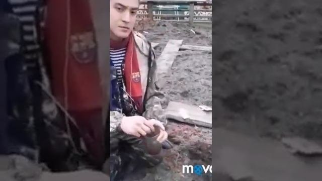 Для чего нужны минеральные подкормки, что, как часто и в какое время необходимо подкормить?