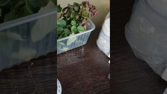 14 декабря 2023 г. смотреть онлайн