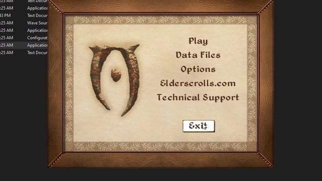 2023 OBLIVION MODDING GUIDE | INTRODUCTION | BEVILEX' MODLIST FOR OBLIVION + MORE !!!