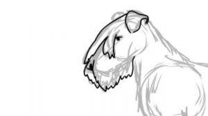 рисую собаку русский черный терьер